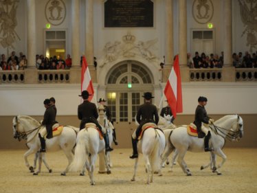 Spanish Riding School - Training Of The Young Stallions